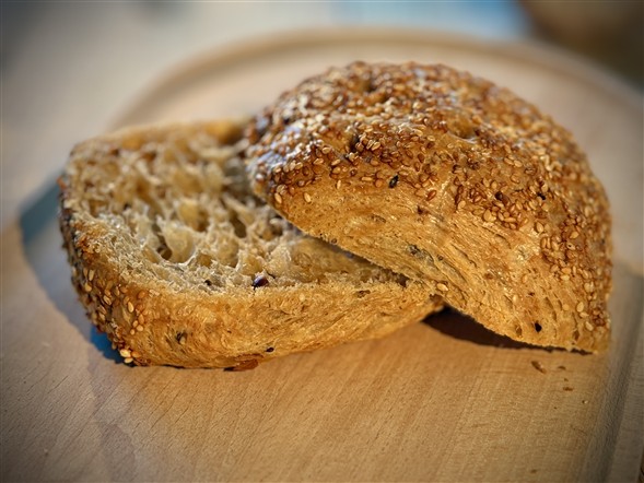 Grovbirkes