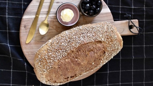Havrebrød