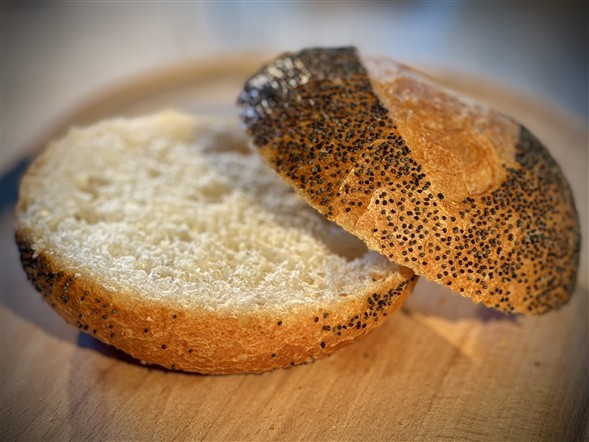 Spansk med blå birkes